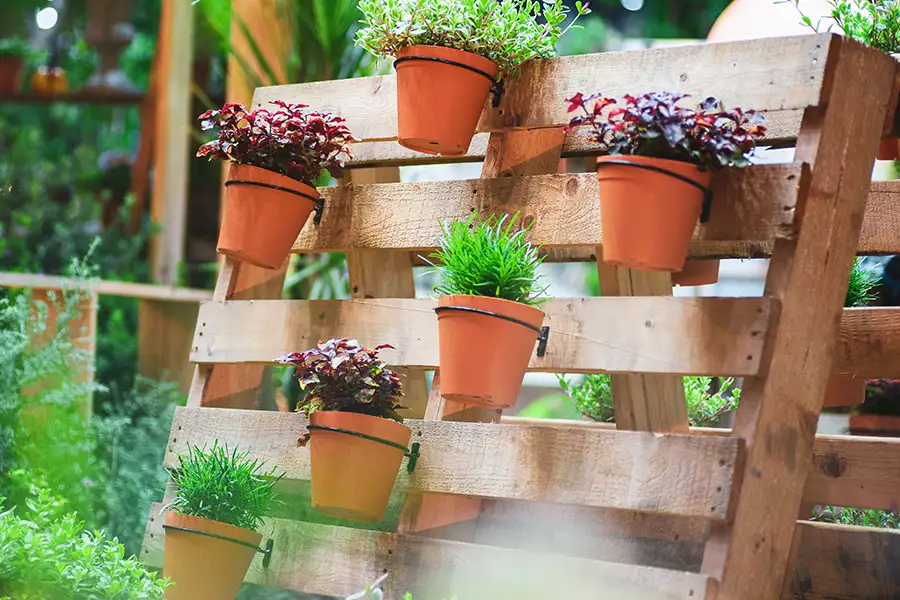 DIY pallet projects - Vertical Garden with variety of plants and herbs - Tampa Florida